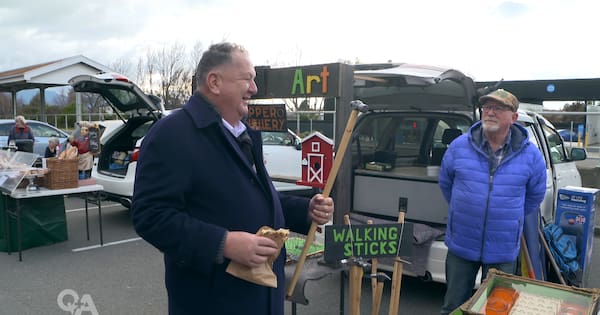 'Temu Napoleon' and 'kleptomaniacs': Shane Jones punches left and right