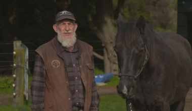 Manawatū horse riders bristle at exclusion from proposed shared path