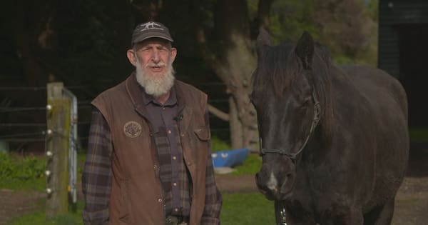 Manawatū horse riders bristle at exclusion from proposed shared path