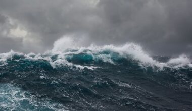 'Rapidly rising': Monster swells of up to 10m to batter NZ's east
