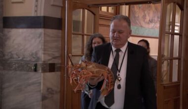 Fisheries Minister Shane Jones avoids hot water for crayfish caper