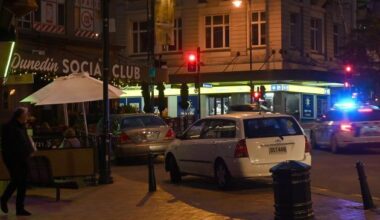 Intoxicated man attacks Dunedin bar manager