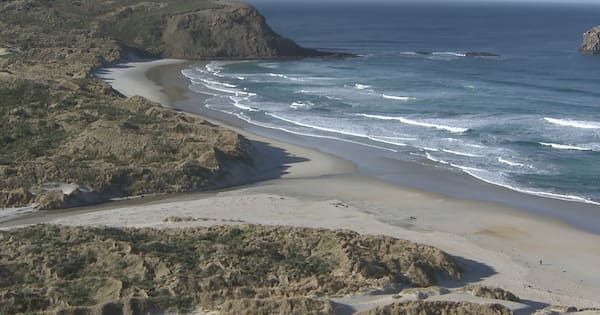 Ngāi Tahu, DOC launch five new ‘national parks of the sea’