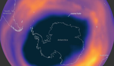 Ozone loss was a thing even before CFCs were widely used