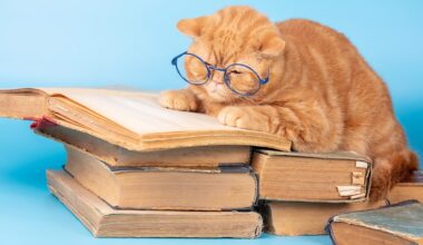 CrowdScience, CrowdScience, Do animals care about the past?