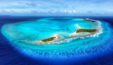 Seabirds drive rapid coral reef recovery after invasive rats are removed from islands