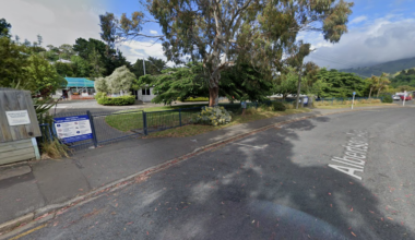 Arrest made over alleged Port Chalmers School firearms incident