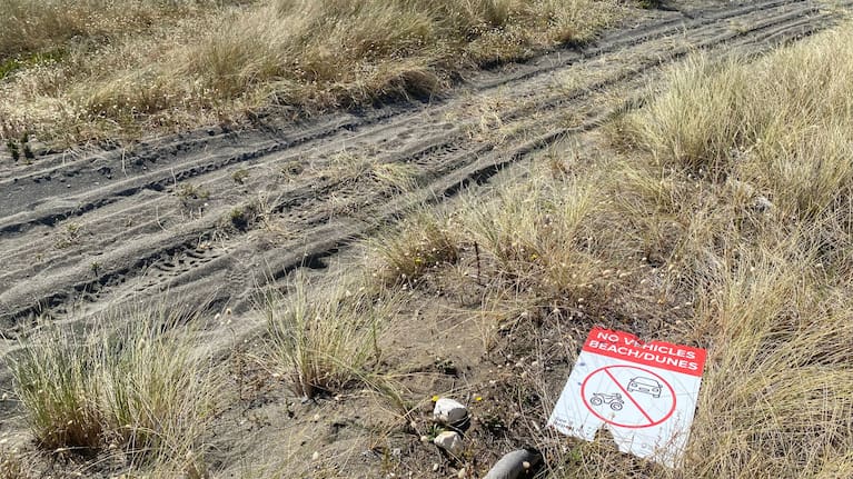 People have been removing signs about Marlborough’s East Coast Vehicle Bylaw and driving right past them.