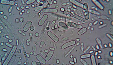 Scientists Found That Bacteria Can Remember Stress Even Though They Have No Brains