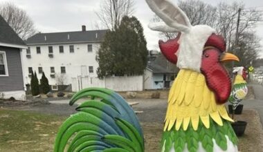 Ogunquit family battling to keep tin rooster sculptures on display