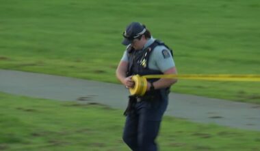 Report of body in water at Flat Bush park, police cordon off area