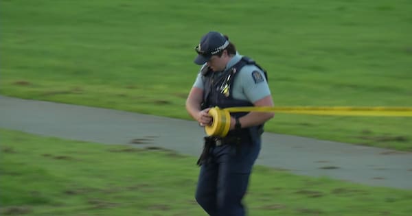Report of body in water at Flat Bush park, police cordon off area