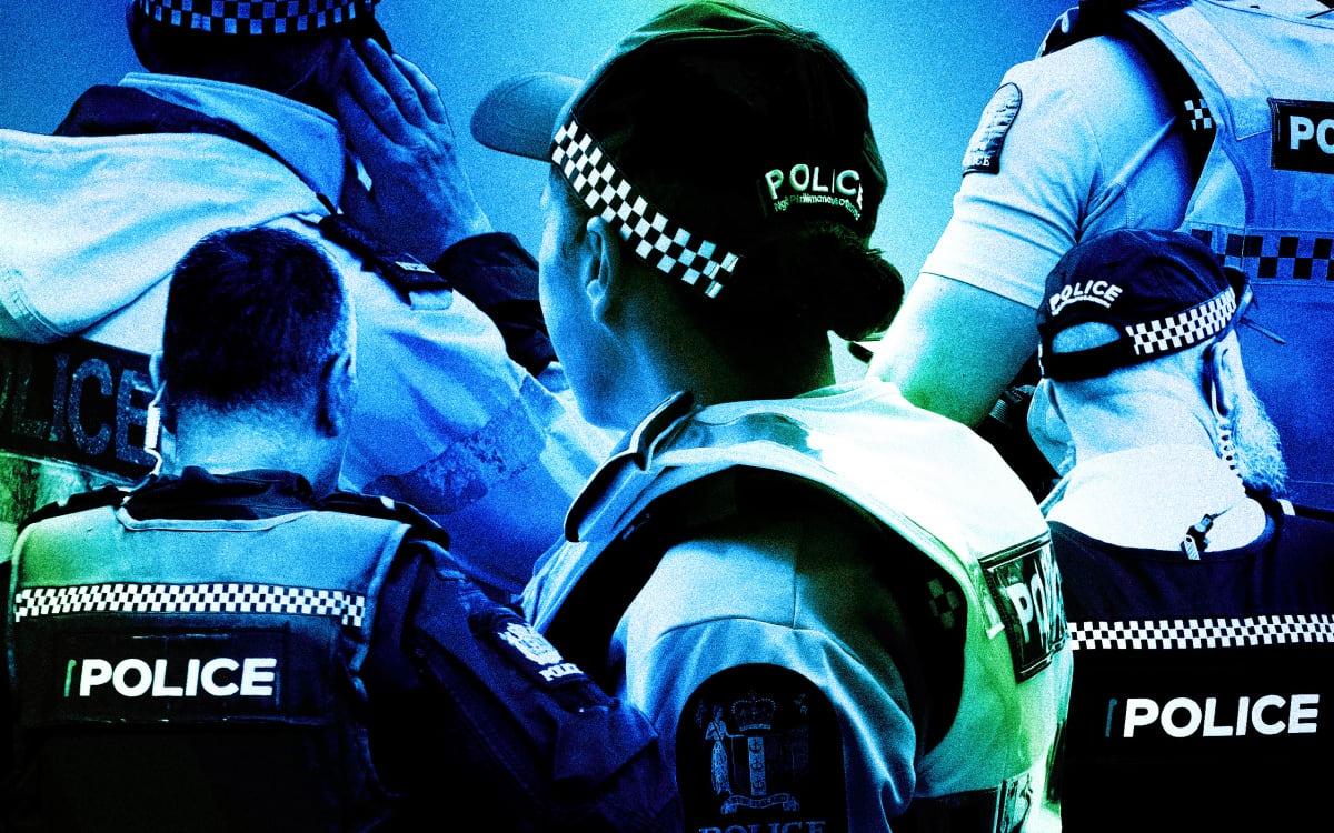 Police let ex-partner into home despite protection order