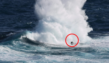 Remarkable detail in photo of huge crashing wave off Aussie coast: 'Pretty fantastic'