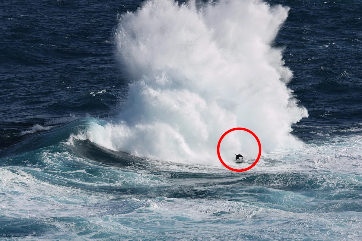 Remarkable detail in photo of huge crashing wave off Aussie coast: 'Pretty fantastic'