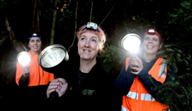 Placing possums in the spotlight