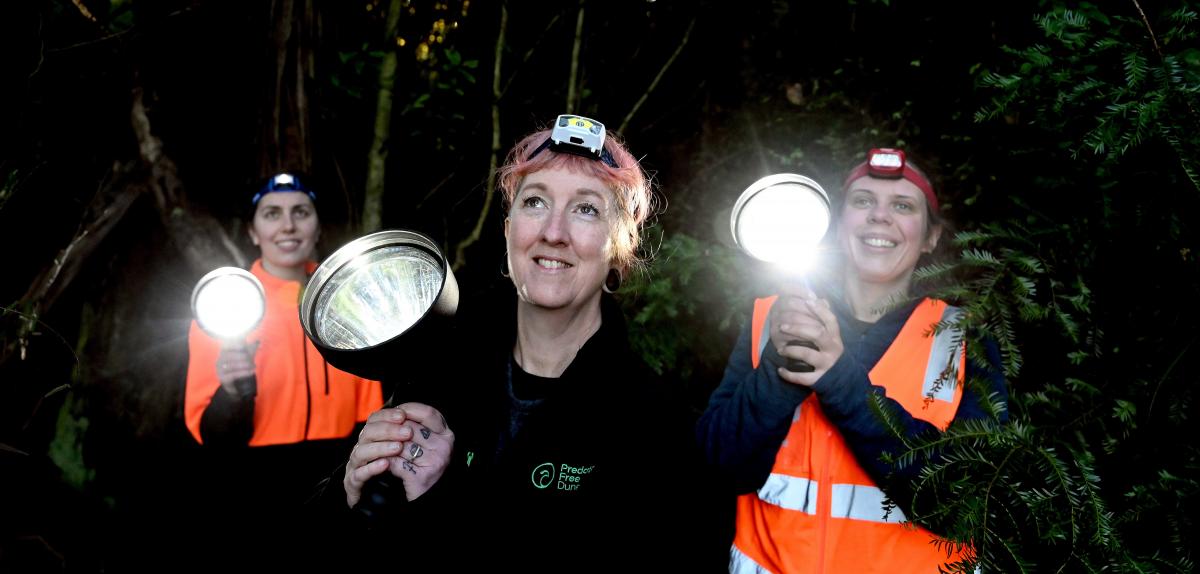 Placing possums in the spotlight