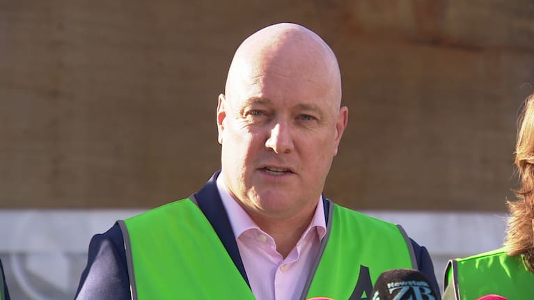 Prime Minister Christopher Luxon said investment was aimed to prepare for expected surge in employment.