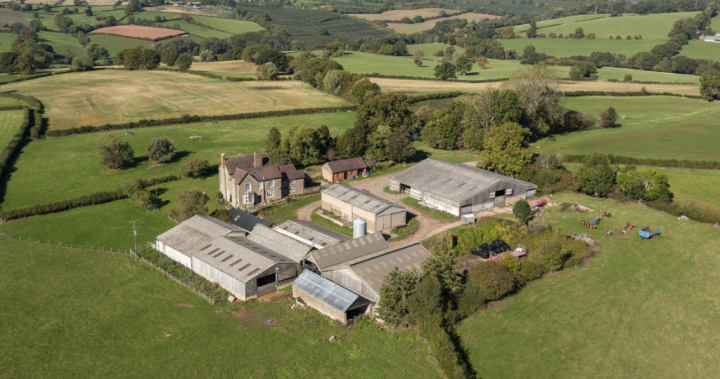 Prince William puts royal 600-acre English farm up for sale - National