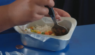 Auditor-General issues warning over Govt's school lunch scheme