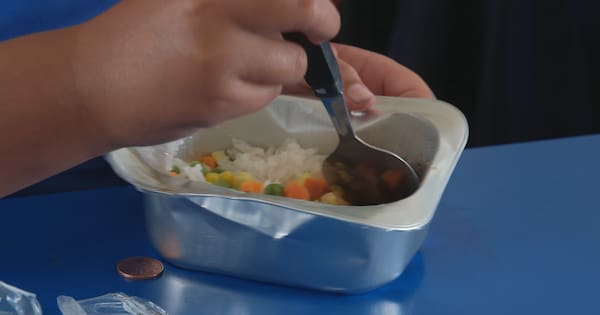 Auditor-General issues warning over Govt's school lunch scheme
