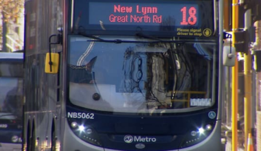 Auckland councillors urged to back zoning for six-storeys near buses