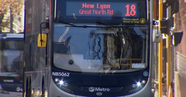 Auckland councillors urged to back zoning for six-storeys near buses