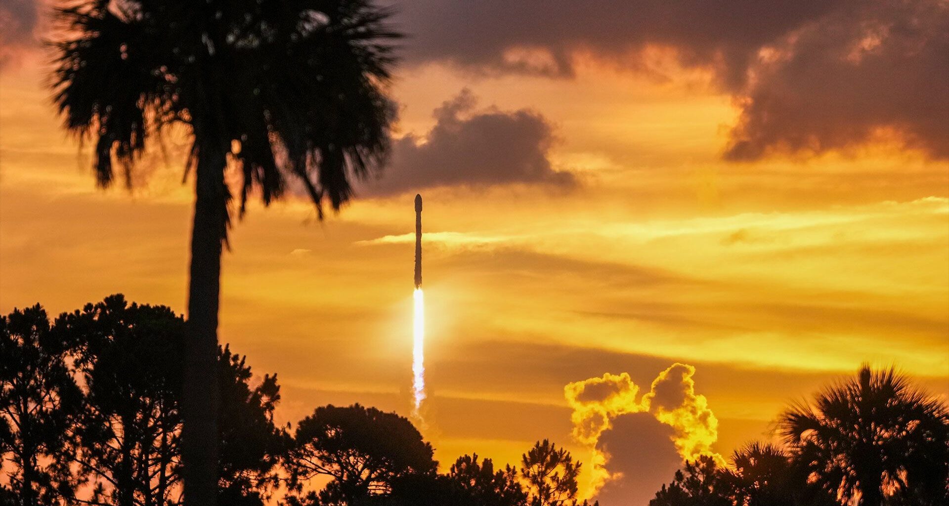 A rocket is seen climbing in a bright orange dawn sky with a palm tree and other foliage silhouetted in the foreground