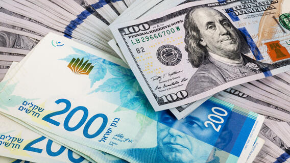 'Not a single dollar left': demand for foreign currency soars after Bank of Israel ra