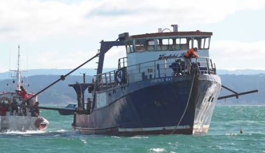 'Down she goes': Boat scuttled off Napier to become artificial reef