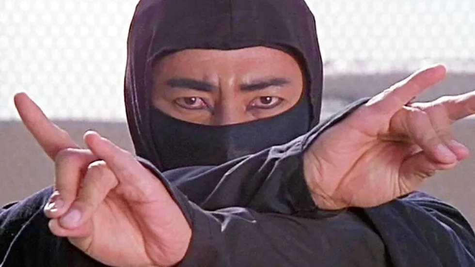 Revenge of the Ninja