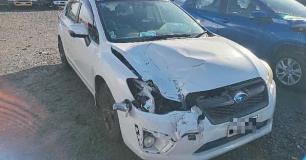 'We should be dead': Truck tyre strikes family's car on Auckland motorway