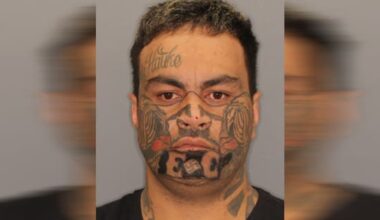 Prisoner on the run after being let out on 'compassionate grounds'