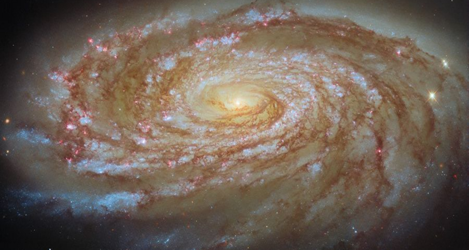 Swirling spiral galaxy will hypnotize you photo of the day for June 10, 2026