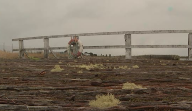 Rundown Greymouth Port to get $8 million makeover