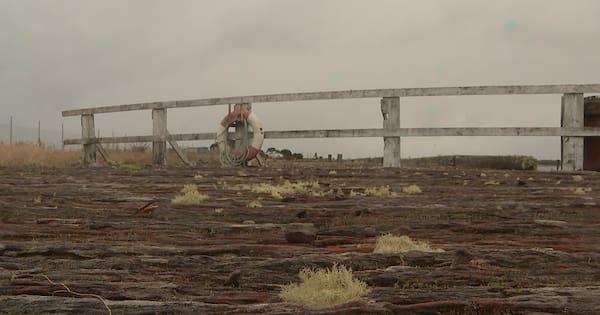 Rundown Greymouth Port to get $8 million makeover