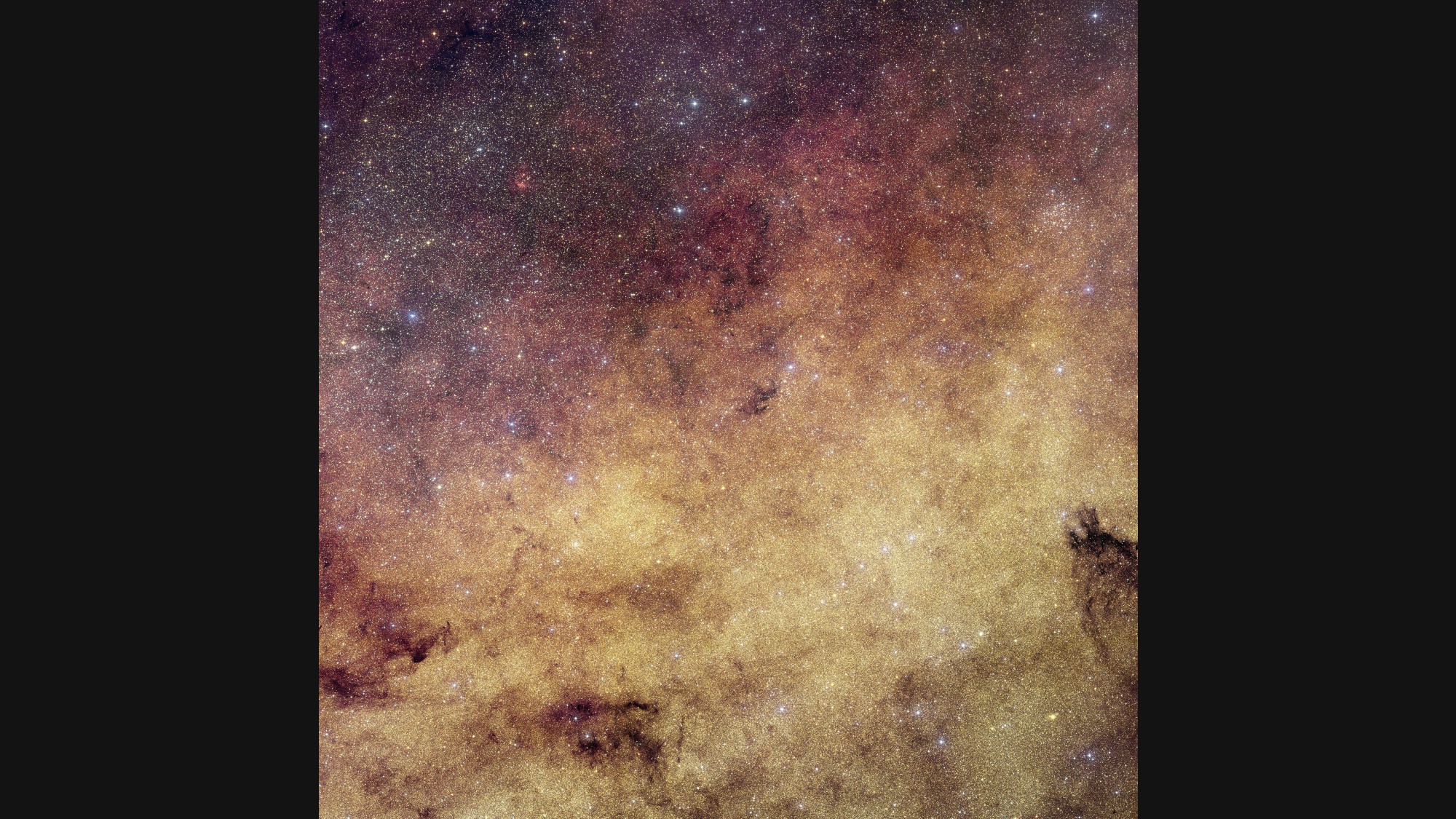 a dense field of stars