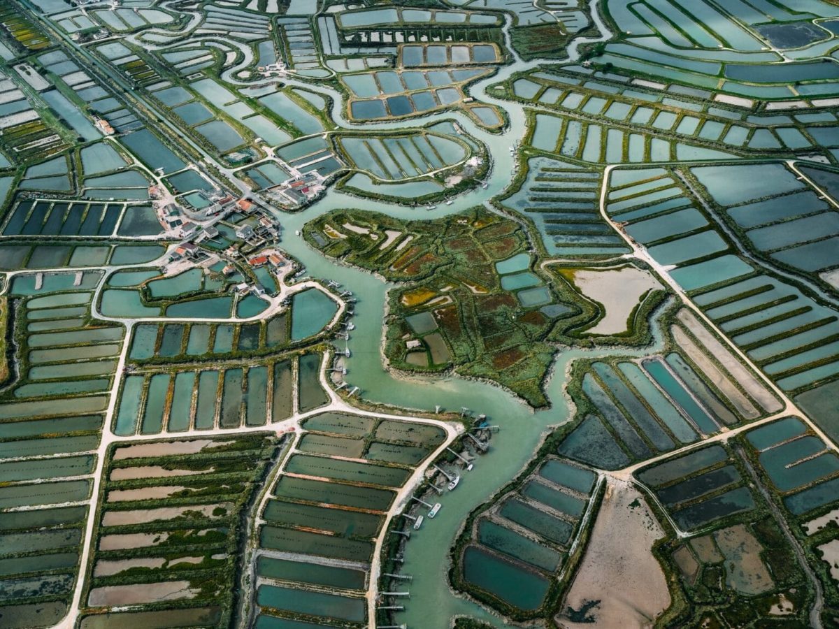 salt france