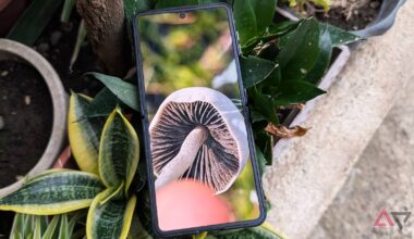 The clever Android app that turned me into a skilled local mushroom hunter