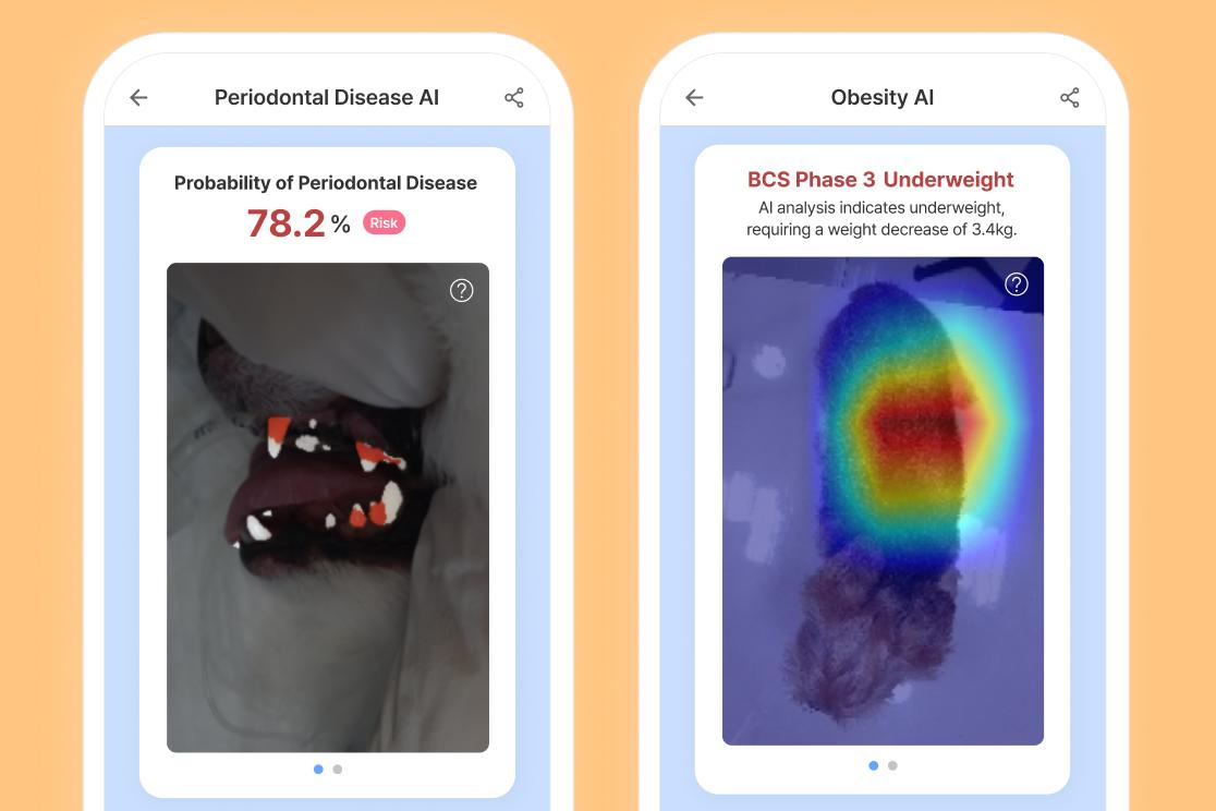 Two images showing a simulated smartphone app using the Lifet platform to assess a pet’s health.