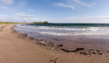 The bootlace worm found washed up on Scottish beaches after storms can stretch more than 55 metres when relaxed, making it longer than the largest blue whale, and it secretes a mucus laced with a neurotoxin that paralyses crabs and kills cockroaches in lab tests