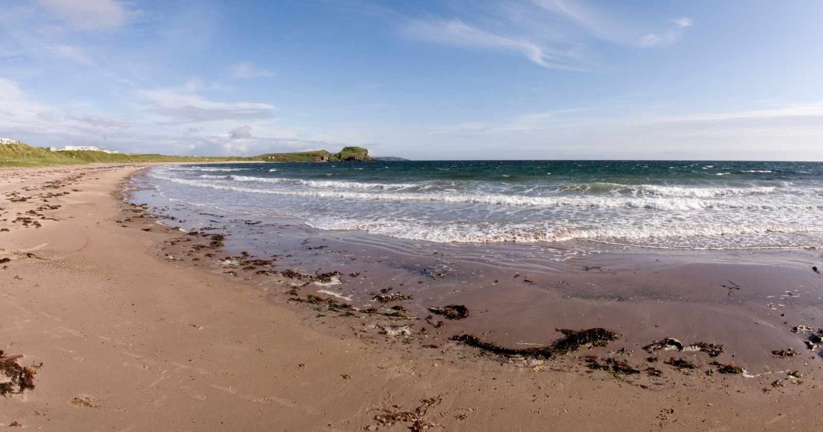 The bootlace worm found washed up on Scottish beaches after storms can stretch more than 55 metres when relaxed, making it longer than the largest blue whale, and it secretes a mucus laced with a neurotoxin that paralyses crabs and kills cockroaches in lab tests