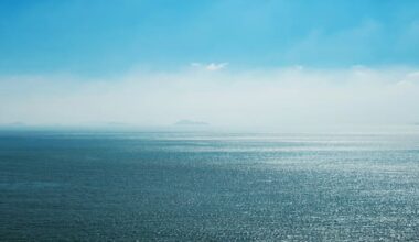 Person missing after going overboard from fishing vessel south of NZ