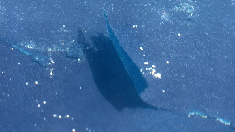 Separation is seen in the blue coating on the bottom of the Lincoln Memorial Reflecting Pool, Monday, June 22, 2026, in Washington. 