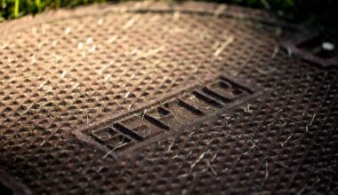 Boy, 3, drowned in septic tank during grandfather's repair work