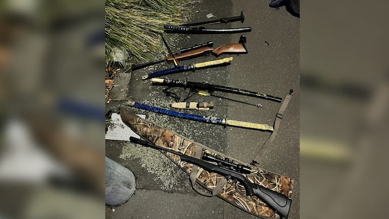 Several weapons uncovered by police from the scene. Source: NZ Police