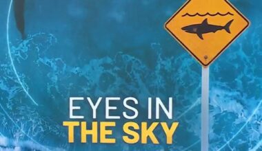 NSW ramps up drone surveillance for sharks