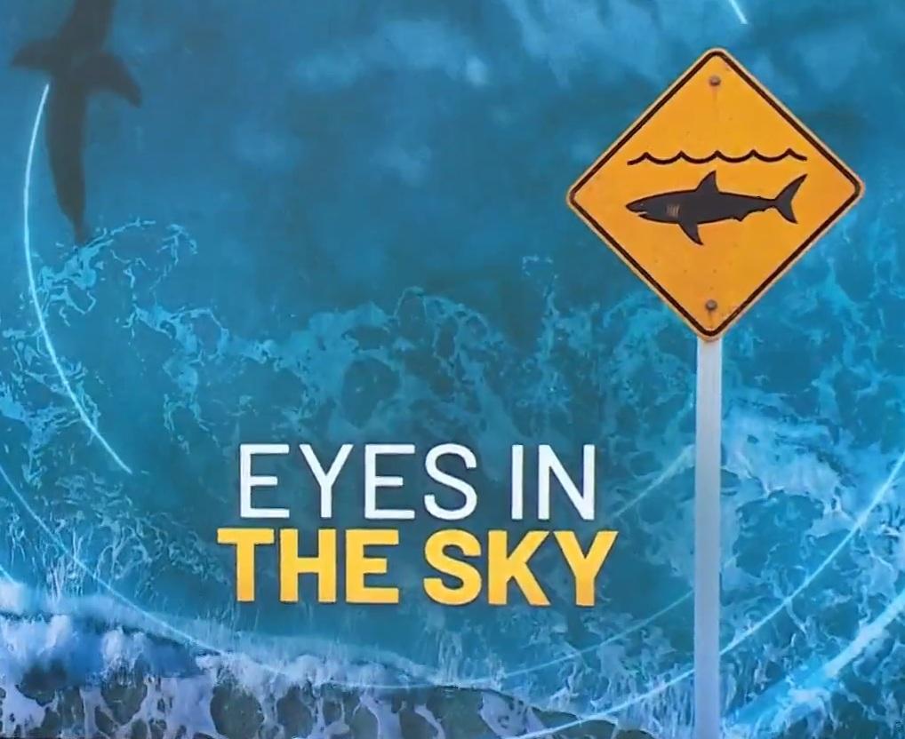 NSW ramps up drone surveillance for sharks