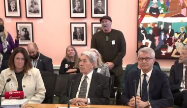 Pro-Palestinian protesters disrupt Peters at select committee