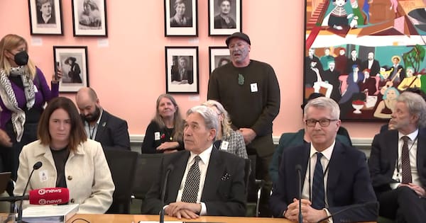 Pro-Palestinian protesters disrupt Peters at select committee